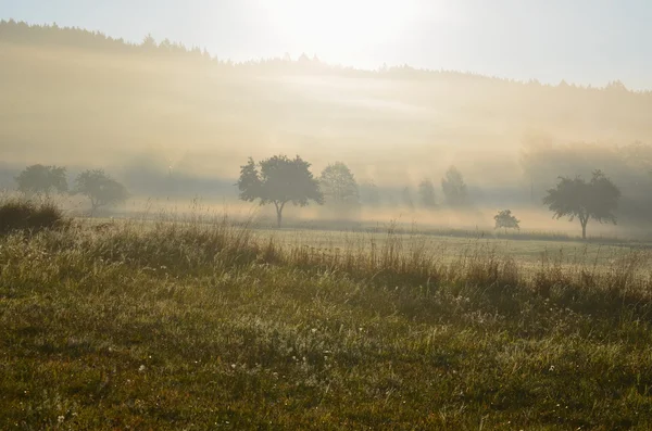 Gizemli gündoğumu, Güney Bohemya görünümünü — Stok fotoğraf