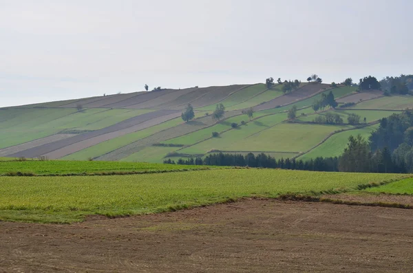 Uitzicht op de herfst landschap, Niederosterreich — Stockfoto