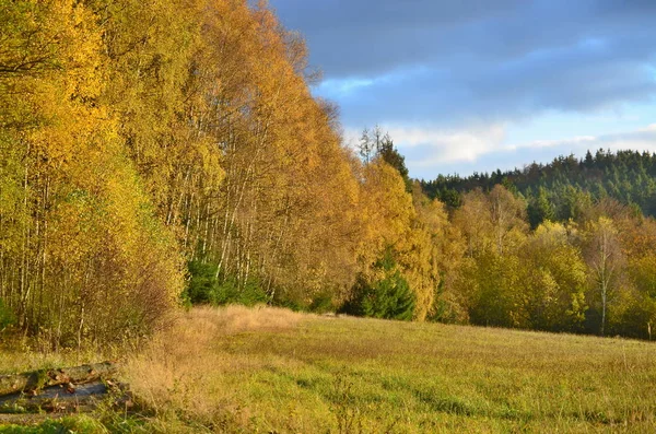 Pozorování podzimní krajiny, Jižní Čechy, Česká republika — Stock fotografie