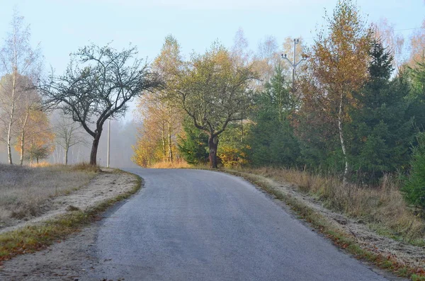 Pozorování podzimní krajiny, Jižní Čechy, Česká republika — Stock fotografie