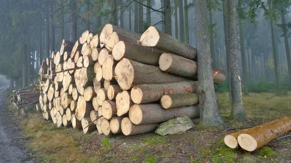 Dřevo, které jsou připraveni k transportu, Jižní Čechy — Stock fotografie