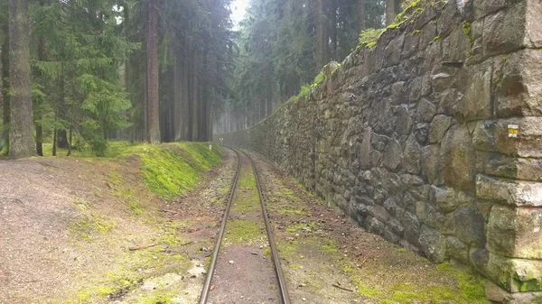 Único caminho de ferro histórico de bitola estreita — Fotografia de Stock