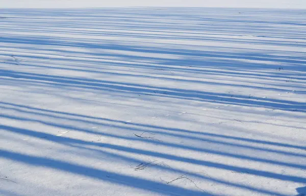 Sombras de árboles en una llanura nevada, al sur de Bohemia — Foto de Stock