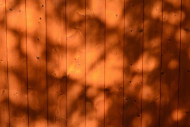 Yapı vernikli ahşap, southern bohemia