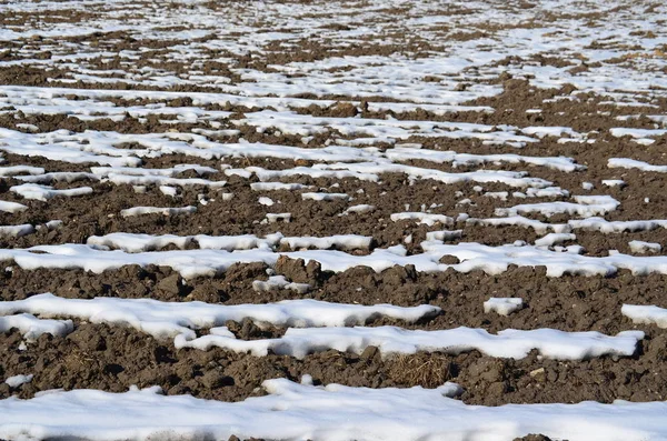 冬の土の構造 — ストック写真