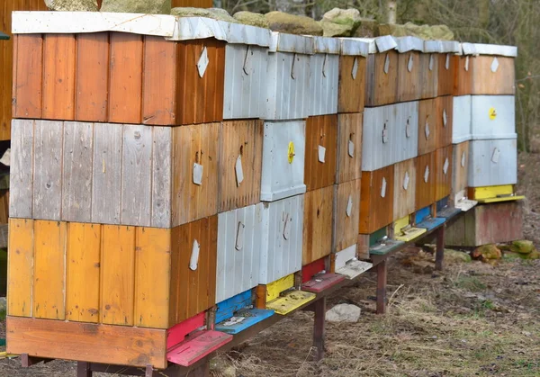 Apicultura rural tradicional, Bohemia del Sur — Foto de Stock