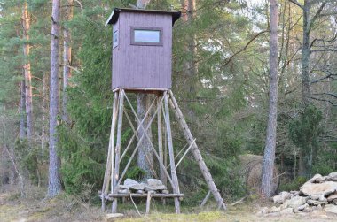 yaban hayatı gözlem noktası. Niederosterreich, Avusturya