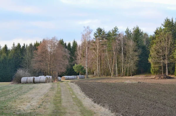 Vy av slåtter, hö lagring, Niederosterreich, Österrike — Stockfoto