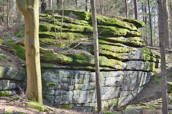 Formación de rocas en el bosque, Bohemia del Sur — Foto de Stock