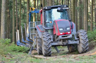 ormanda Güney Bohemya çalışmaya adapte traktör