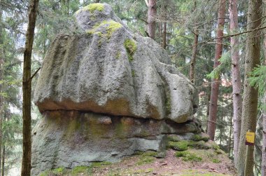 kaya oluşumu ormandaki Güney Bohemya