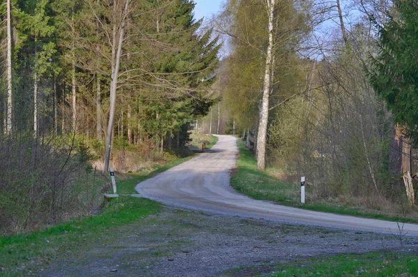 Strada forestale, Boemia meridionale — Foto Stock
