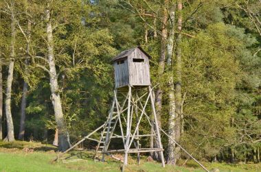 yaban hayatı gözlem noktası