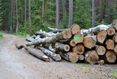 Kereste nakliye, South Bohemia için hazır