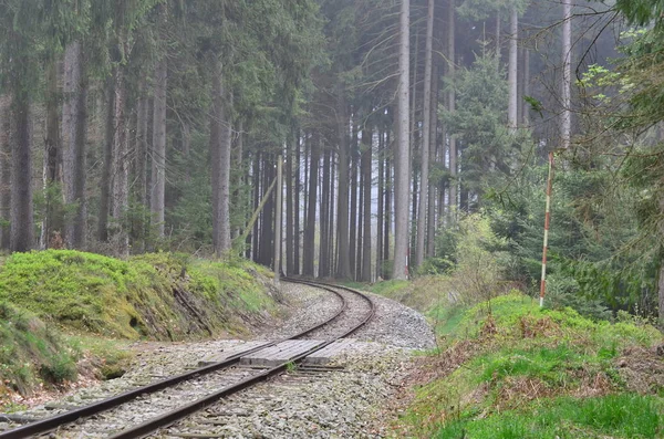 Único ferrocarril histórico de vía estrecha. Bohemia del Sur — Foto de Stock