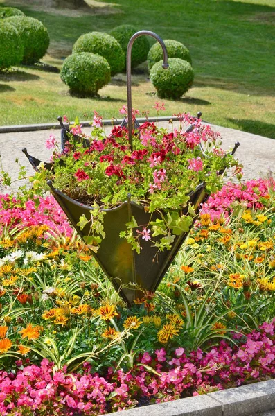 Floral decoration, spa Kudowa zdroj — Stock fotografie