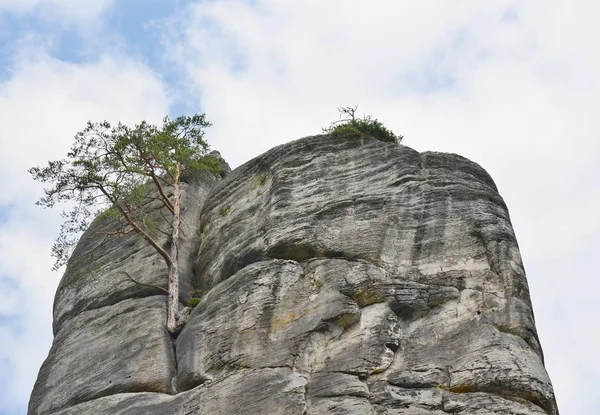 奇岩怪石，Adrspach-特普利采国家自然保护区 — 图库照片