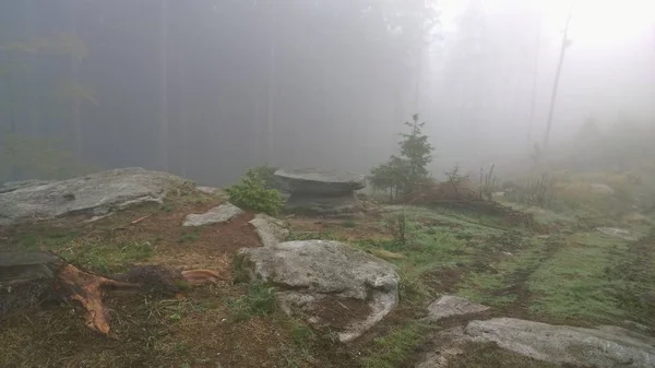 Vista del paisaje otoñal, sur de Bohemia, Chequia — Foto de Stock