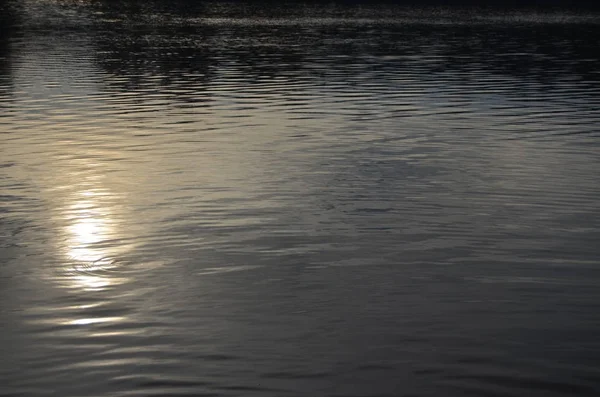 湖の水位。南ボヘミア州 — ストック写真