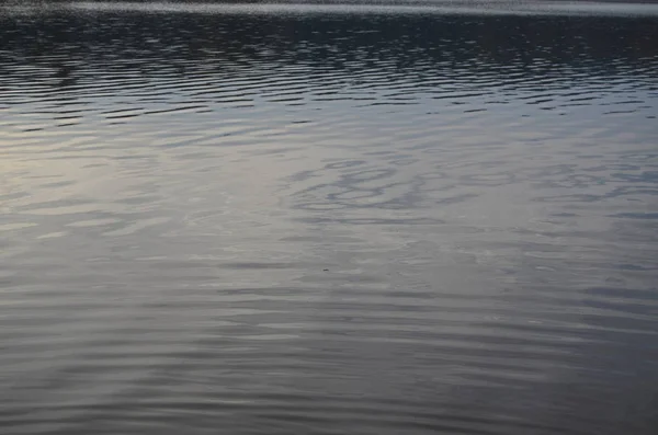 Στάθμη του νερού της λίμνης. Νότια Βοημία — Φωτογραφία Αρχείου