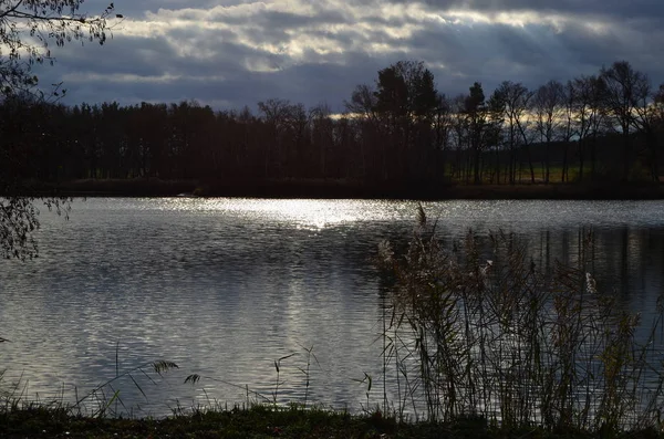 남쪽 보 헤 미아의 시골에 있는 연못 — 스톡 사진