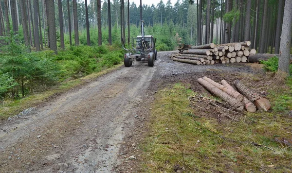 Machine for wood transport . South Bohemia — Stock Photo, Image