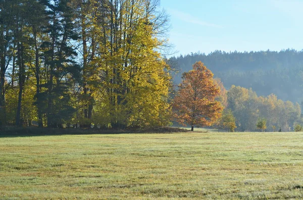 Zobacz jesień krajobraz, southern Bohemia, Republika Czeska — Zdjęcie stockowe