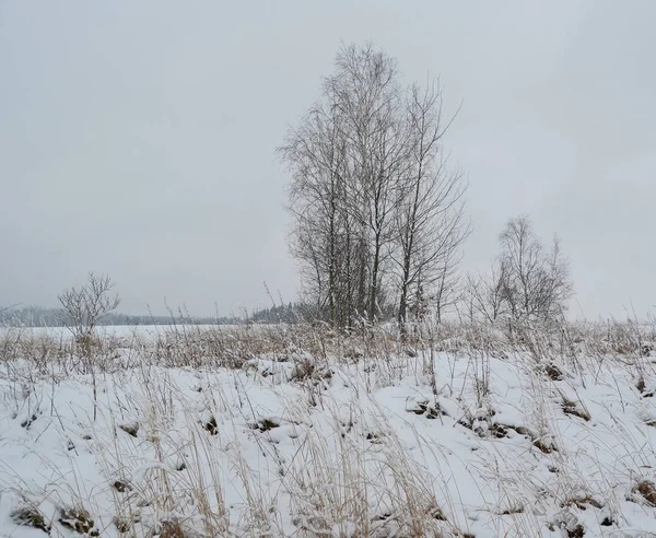 Widok na krajobraz zimowy, Południowe — Zdjęcie stockowe