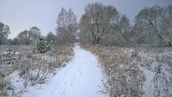 Вид на зимний пейзаж, Южная Чехия — стоковое фото