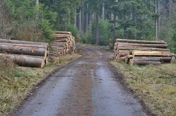 timber ready for transport, South Bohemia