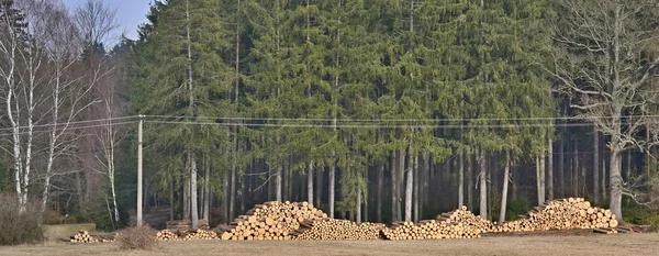 Madera lista para el transporte, Bohemia del Sur — Foto de Stock