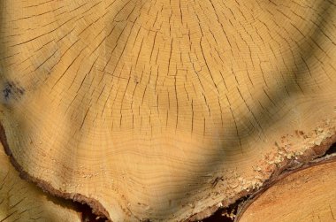 Ahşap yapının vief, Güney Bohemya