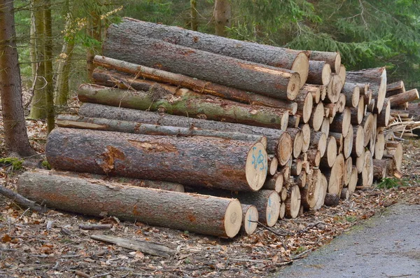 timber ready for transport, South Bohemia