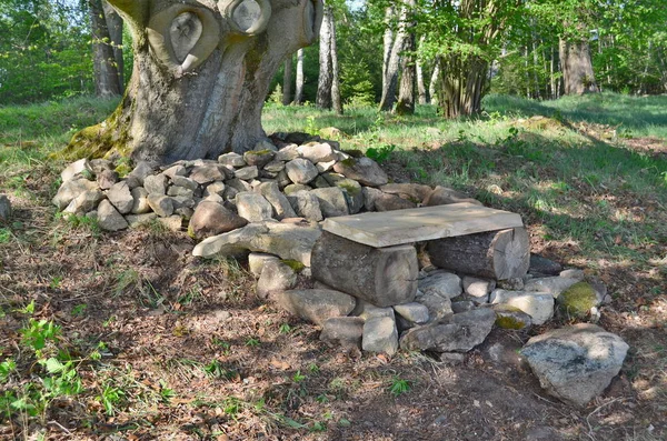 Banc de repos sous vieux chêne, Bohême du Sud — Photo