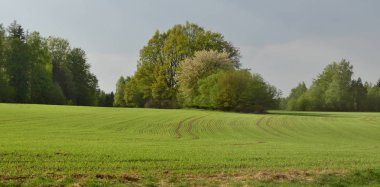 akşam görünümü kırsal Güney Bohemya'da