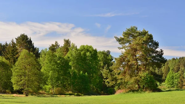 Вид весенний пейзаж, южная Чехия — стоковое фото