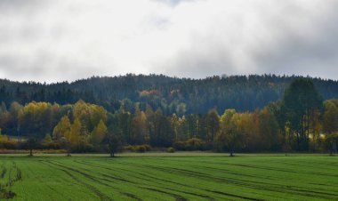 sonbahar manzara görünümü, güney Bohemya
