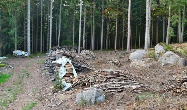 Pohled na tradiční skladovací dřevo, Jižní Čechy — Stock fotografie