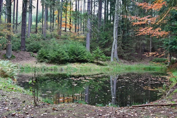 Pohled na podzimní jezero lesa, jižní Čechy — Stock fotografie