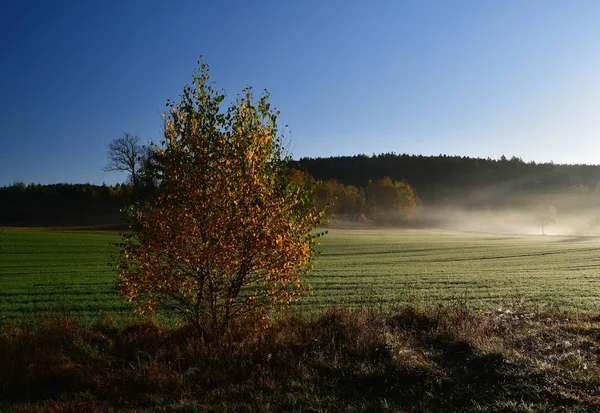 Pohled na podzimní krajinu v ranní mlze, Jižní Čechy — Stock fotografie