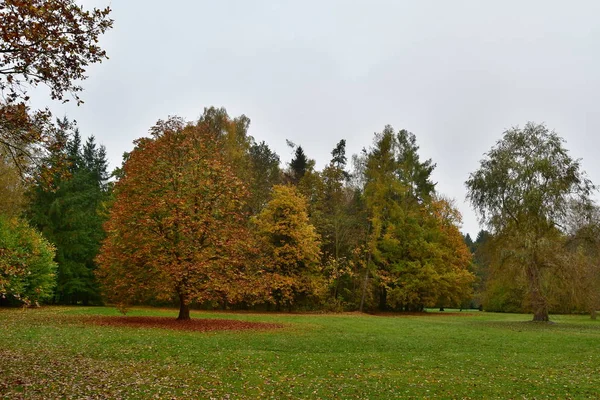 Blick auf die Herbstlandschaft, Südböhmen — Stockfoto