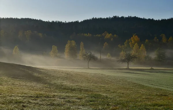 Widok jesiennego krajobrazu w porannej mgle, Południowe Czechy — Zdjęcie stockowe
