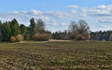 Yaklaşan bahar manzarası, Güney Bohemya, Çek Cumhuriyeti
