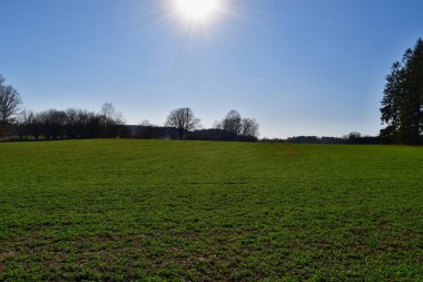Bahar çayırı manzarası, Güney Bohemya, Çek Cumhuriyeti