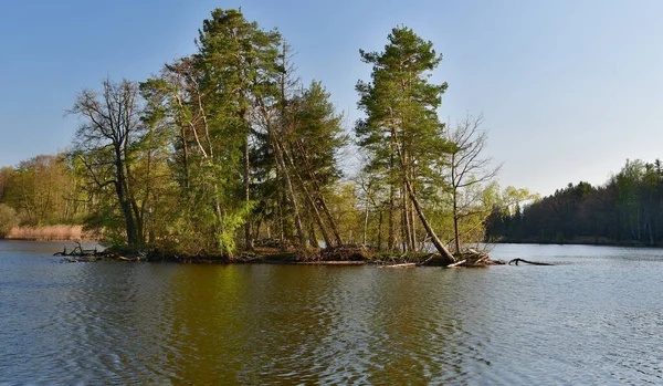 Ставка Сільській Місцевості Південної Богемії Чеська Республіка — стокове фото