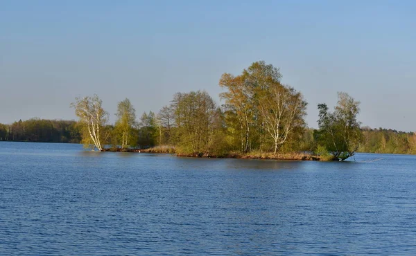 Vijvers Het Platteland Van Zuid Bohemen Tsjechië — Stockfoto