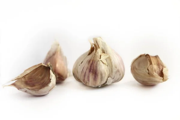 Garlic White Background — Stock Photo, Image