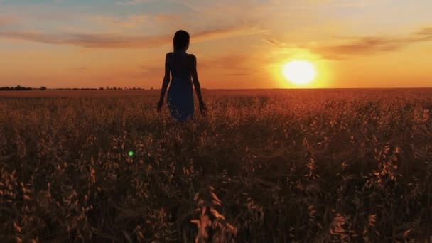 Young woman standing on a wheat field with sunrise on the background — Stock Video