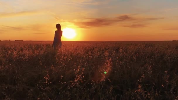 Νεαρό χαρούμενο κορίτσι περπατά και γυρίζει στο χωράφι με το σιτάρι στο φόντο ηλιοβασίλεμα — Αρχείο Βίντεο