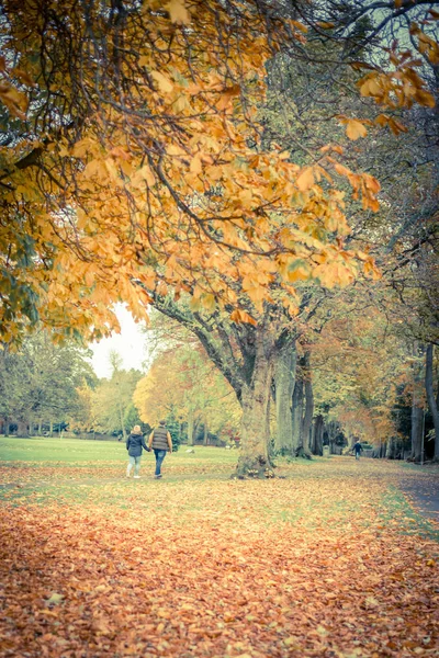 Senior Couple Walking Through Autumn Woodland — Stock Photo, Image